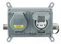 Hubbell Wiring MLWF201P 4X PSDA 2-G STRAIGHT BLADE | YarinInd