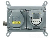 Hubbell Wiring MLWF2070 4X PSDA 2-G 20A 125/250V Twist-Lock | Industrial Supplies