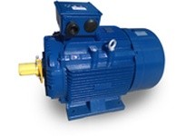 Teco-Westinghouse MP0506 AESV3W MAX-IE3 METRIC HP: 50 RPM: 1200 | Industrial Motors