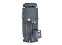 US Motors (Nidec) NO20P2BE 20 hp WPI 1800 RPM 230/460V 3-phase 256VP Frame TEFC Vertical Solid Shaft Motor