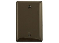 Hubbell Wiring NP13 WALLPLATE 1-G BOX MT BLANK BR