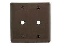 Hubbell Wiring NP21 WALLPLATE 2-G 2) .406 OPNG BR | High-Quality Wallplate