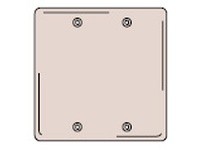 Hubbell Wiring NPJ23 WALLPLT M-SIZE 2G 2 BOX MT BLANK BR | YarinInd