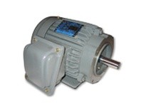 Teco-Westinghouse NV0402C AEVANE MAX-SE HP: 40 RPM: 3600 FRAME: 324TSC | High-Performance Motor