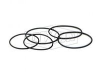 Dixon O-ND4-01 MannTek Safety Breakaway O-ring Kit | Reliable Industrial Supplies