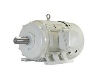 NAE OWP284T-15-6 15 HP 1200 RPM 284T Frame 230/460/796V 3PH NEMA Design D 60HZ 1.15 S.F. TEFC Oil Well Pump Motor Cast Iron Inve