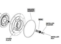 Bell & Gossett P13800 IMPELLER CAPSCREW