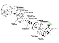 Bell & Gossett P41730 VOLUTE | YarinInd