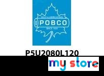 Pobco P5U2080L120 Chain Guide White UHMW for Chain | Industrial Supplies