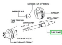 Bell & Gossett P78928 SHAFT | YarinInd