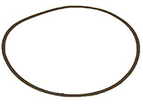 Bell & Gossett P80732 VOLUTE GASKET