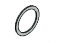 Dixon P80P-218BOG PTFE GASKET-OUTBOARD FOR 218/328 & EXD 200 SERIES