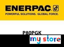 Enerpac P80PGK Repair Kit 2-Stage Plunger ULTIMA | High-Quality Parts