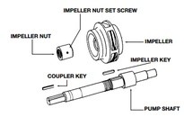 Bell & Gossett P81915 IMPELLER NUT
