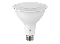 RAB PAR38FA-19-9CCT-40D-DIM PARS 1500 LUMENS PAR38 | YarinInd