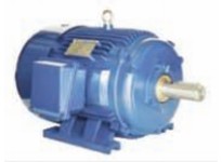 NAE PE145T-1-6 1 HP 1200 RPM 145T Frame 208-230/460V 3PH NEMA Design B 60HZ 1.15 S.F. TEFC Gen Purp Cast Iron Prem Eff Inverter 