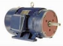 NAE PE182TC-3-4 3 HP 1800 RPM 182TC Frame 208-230/460V 3PH NEMA Design B 60HZ 1.15 S.F. TEFC Gen Purp Cast Iron Prem Eff Inverte
