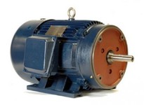 NAE PE254JP-15-4 15 HP 1800 RPM 254JP Frame 208-230/460V 3PH NEMA Design B 60HZ 1.15 S.F. TEFC Closed Coupled Pump Motor Cast Ir