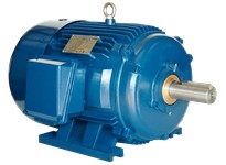 NAE PE254T-15-2-575V 15 HP 3600 RPM 254T Frame 575V 3PH NEMA Design B 60HZ 1.15 S.F. TEFC Gen Purp Cast Iron Prem Eff Inverter D