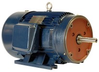 NAE PE365JM-75-4 75 HP 1800 RPM 365JM Frame 208-230/460V | Reliable Motors