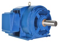 NAE PE365T-75-4-ODP 75 HP 1800 RPM 365T Frame Motor | Industrial Supplies