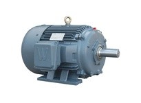 WWE PEWWE10-36-215T 10HP 3600RPM 208-230/460V 215T Frame | Premium Efficient Motor