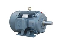 WWE PEWWE100-12-444T 100 HP 1200 RPM 3 PH 60 Hz 1.0 208-230/460V 1.25 SF 444T FRAME CAST IRON PREMIUM EFFICIENCY RIGID MOUNTING 