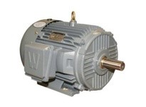 WWE PEWWE100-36-405TS 1-500 HP 3600, 1800, 1200 And 900 RPM 208-230/460 Volt 60 Hz