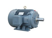 WWE PEWWE15-36-254T 15 HP 3600 RPM 3 PH 60 Hz 208-230/460V | Premium Efficiency Motor