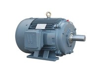 WorldWide Electric PEWWE2-12-184T 2 HP 1200 RPM 208-230/460V | Premium Efficient Motor