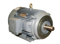 WWE PEWWE30-18-286TC HP: 30 RPM:1800 Frame: 286TC Voltage: 208-230/460 FL Amps (A): 34.5