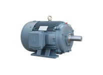 WorldWide Electric Premium Efficient Severe Duty Motor 5 HP 3600 RPM 208-230/460V 184T Frame Rigid Base