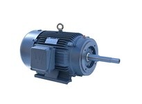 WWE PEWWE50-36-326JP 50HP 3600RPM 326JP Frame 208- | YarinInd