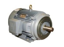 Worldwide PEWWE75-18-365TC - 3 PH, 75 HP, 365TC, TEFC Motor | Industrial Supplies