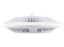 RAB PLED78W/480/D10 Pendant 78W Cool LED 480V Dim Clear Lens White