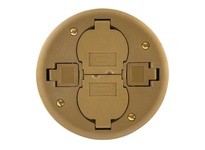 Hubbell Wiring PT2X2CBRS FRPT 2X2 REP CVR BRS