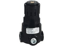 Dixon R03-01RG Wilkerson FRLs R03-Series Miniature Regulator | YarinInd