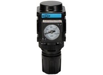 Dixon R08-02RG Wilkerson FRLs R08 Miniature Regulator | YarinInd