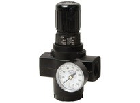 Dixon R17-800RG Series 1 FRLs R17, R18-Series Jumbo Regulator with Gauge