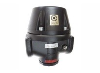 Coilhose R2000 2" Pilot Regulator General Purpose Series | Industrial Supplies