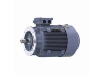 Marathon R242 TCA0221AE221GAA009 22KW-30HP 3600 TEFC | YarinInd