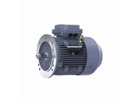 Marathon R252 TCA0032AE221GAA009 3KW-4HP 1800 TEFC | YarinInd