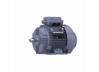Marathon R325B TCA0042AE211GAA009 4KW-5.5HP 1800 TEFC 112M | Industrial Motor