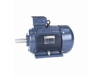 Marathon R337A Model#: 160LTFC6538 HP: 20 RPM: 1800 Frame: 160L Enclosure: TEFC Phase: 3 Voltage: 230/460 HZ: 60This model has 2