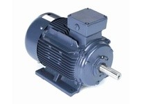 Marathon R337B TCA0152AE211GAA009 15KW-20HP 1800 TEFC 160L 3/60/230/460