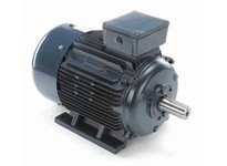 Marathon R342B TCA0221AE211GAA009 22KW-30HP 3600 TEFC 180M 3/60/230/460