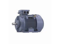 Marathon R348B TCA0371AE211GAA009 37KW-50HP 3600 TEFC Motor | High-Performance Industrial Motor