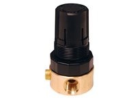 Dixon R364-02C Watts FRLs R643-Series Miniature Regulator | YarinInd
