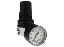 Dixon R374-02CG Watts FRLs R643-Series Miniature Regulator | Quality Supplies