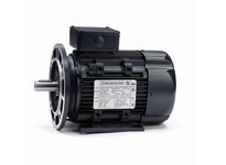 Leeson R399A Model#: 090LT34FH6520 HP: 3 RPM: 3600 Frame: 90L Enclosure: TEFC Phase: 3 Voltage: 230/460 HZ: 60This model has 3 h